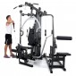 Multigym Finnlo Autark 6600