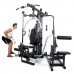 Multigym Finnlo Autark 6600