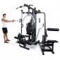 Multigym Finnlo Autark 6600