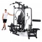 Multigym Finnlo Autark 6600