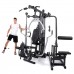 Multigym Finnlo Autark 6600
