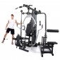 Multigym Finnlo Autark 6600