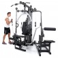 Multigym Finnlo Autark 6600