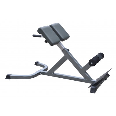 Ryggbänk Master Fitness Back Trainer Silver