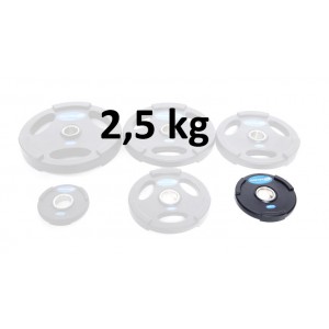 Gummiklädd viktskiva Master Fitness 2,5 kg