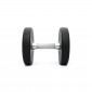 Hantel TITAN LIFE Dumbbell 12kg PU