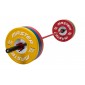 Viktskiva Competition Bumpers Plate 25 kg - Master