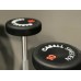 Casall Pro Fixed Barbell Rubber 10,0 kg 