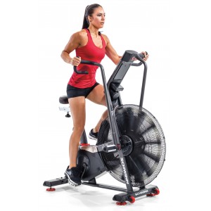 Schwinn Airdyne AD8