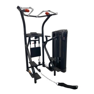 Inspire by Hammer Dual Station Chin Up
