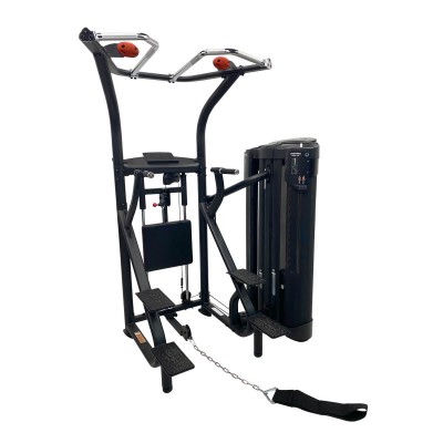 Inspire by Hammer Dual Station Chin Up
