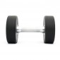 Hantel Titan Life Pro Dumbbell - 10 kg