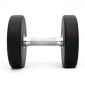 Hantel Titan Life Pro Dumbbell - 16 kg