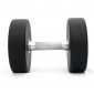 Hantel Titan Life Pro Dumbbell - 22 kg