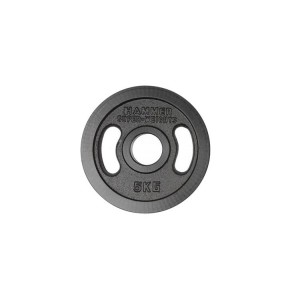 Viktskiva internationell Hammer 5,0 kg