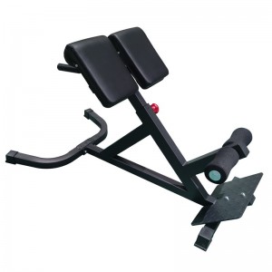 Ryggbänk Master Fitness Black