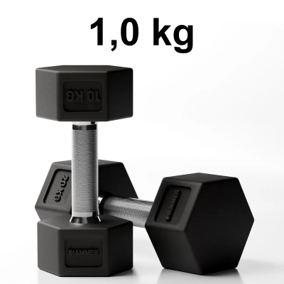 Hantel Hammer Hexagon Pro 1,0 kg