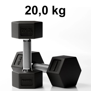 Hantel Hammer Hexagon Pro 20,0 kg