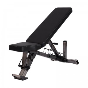 Träningsbänk Master Fitness BC 1.0 - Steel