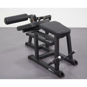 Impulse IFP1604 Prone Leg Curl Impulse IFP1604 Prone Leg Curl