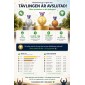 Stegtävling – resultatlistor och stegomvandlare